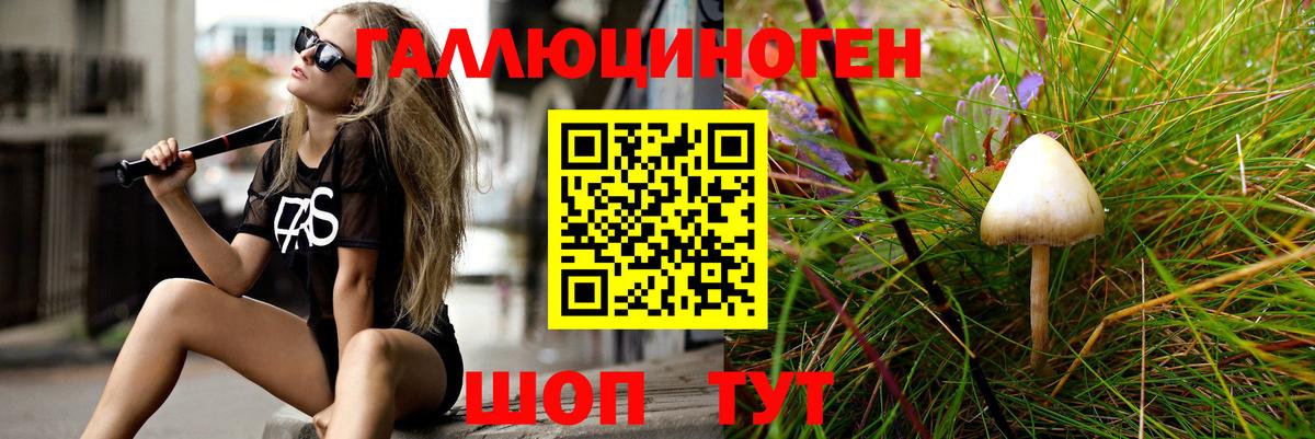 Казань  Псилоцибиновые грибы MAGIC MUSHROOMS  Вход с VPN 